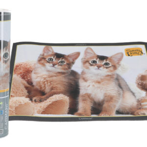 21a3bf03bf02480efe83701ac2ce8973