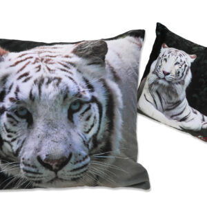 21c035c6a8885ebae48789c805246567