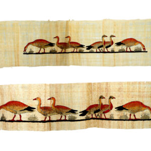 aadcb95e58aaf34b115388a239d8ea52