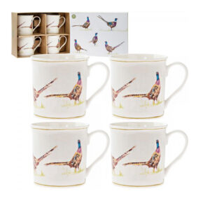 8585adc6122348d056514869cc8fbc34