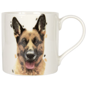 889fda3d7f0e59888c57a98d237c66cc