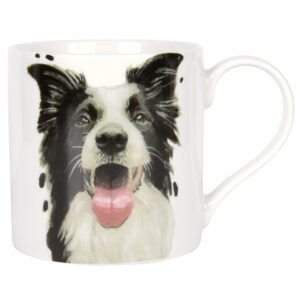 8447abd92b1a918d9bf87804cab47237