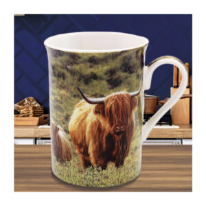 88f6fcf781b19bed74018fde10b0675d