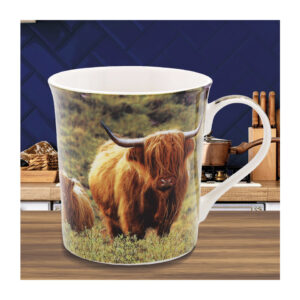 9a013991dee1b954f7c21fdd10c03269